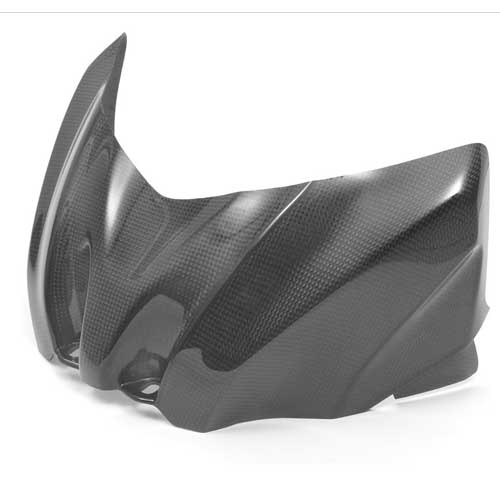 Foto ITR Carbono Protector deposito Suzuki GSXR 1000 2009-2010 foto 677199