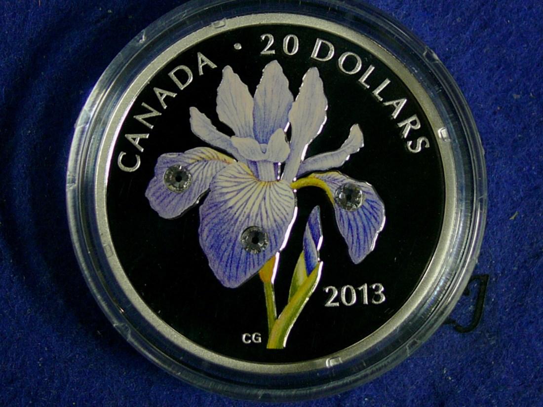 Foto Kanada Canada 20 Dollar 2013 foto 268610