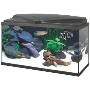 Foto Kit Acuario Ciano 80