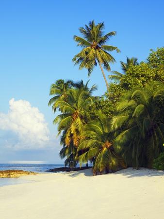 Foto Lámina fotográfica Beach at Soneva Fushi Resort in the Baa Atoll de Frank Krahmer, 61x46 in. foto 647227