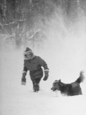 Foto Lámina fotográfica de primera calidad Young Boy Walking Home During a Blizzard with His Dog Following Behind After School de George Silk, 41x30 in. foto 878121