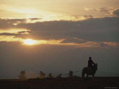 Foto Lámina fotográfica Herder Drags Rolled-Up Felt Behind his Horse de Gordon Wiltsie, 41x30 in. foto 948670
