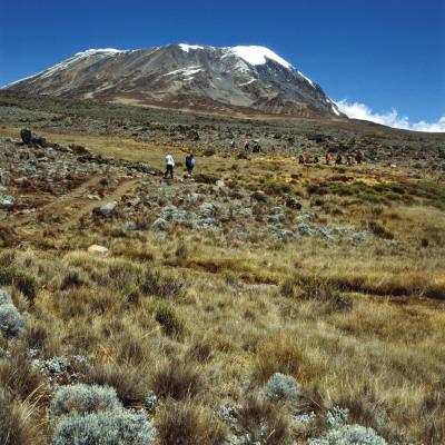 Foto Lámina fotográfica Low Angle View of a Mountain, Mount Kilimanjaro National Park, Tanzania de De Agostini, 41x41 in. foto 641659
