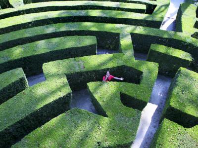 Foto Lámina fotográfica Man Lost in Maze in Gardens of Villa Pisani Near Stra de Ruth Eastham & Max Paoli, 61x46 in. foto 966426