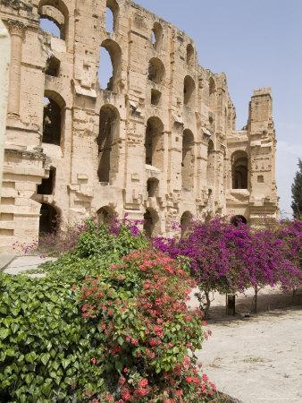 Foto Lámina fotográfica Roman Colosseum, El Jem, Unesco World Heritage Site, Tunisia, North Africa, Africa de Ethel Davies, 61x46 in. foto 923343