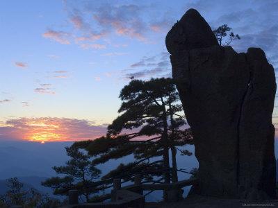Foto Lámina fotográfica Silhouette of Pine Tree, White Cloud Scenic Area, Huang Shan, Anhui Province, China de Jochen Schlenker, 61x46 in. foto 728445