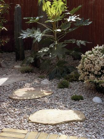 Foto Lámina fotográfica Small, Fenced Japanese Garden with Japanese Aralia (Fatsijaponica) Japanese Andromeda de Phillip Smith, 61x46 in. foto 622404