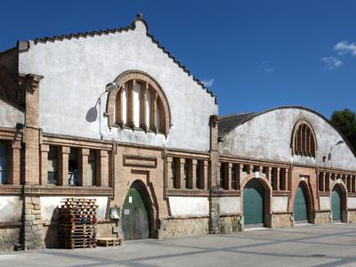 Foto Lámina fotográfica The Gandesa Cooperative Wine Cellar, Gandesa, Priorat, Tarragona, Spain de Manuel Cohen, 61x46 in. foto 844862