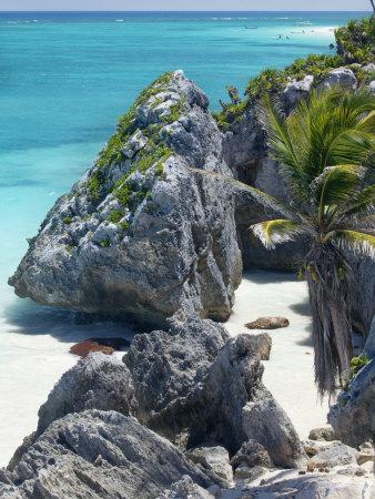 Foto Lámina fotográfica Turquoise Sea and Beach in Tulum, Riviera Maya, Quintana Roo, Mexico de Demetrio Carrasco, 61x46 in. foto 659890