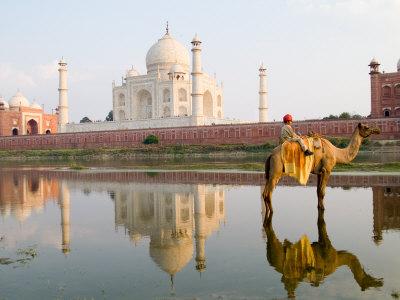Foto Lámina fotográfica Young Boy on Camel, Taj Mahal Temple Burial Site at Sunset, Agra, India de Bill Bachmann, 61x46 in. foto 678005