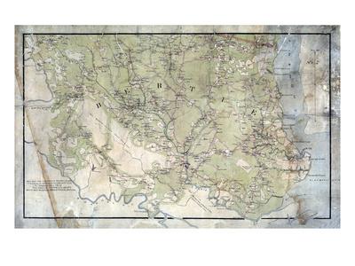 Foto Lámina giclée 1863, Bertie County Wall Map, North Carolina, United States, 61x46 in. foto 622100