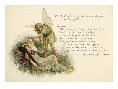 Foto Lámina giclée A Midsummer Night's Dream, Act II Scene II: Oberon Squeezes the Flower onto Titania's Eyelids de Walter Paget, 61x46 in. foto 811101