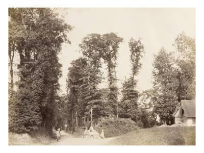 Foto Lámina giclée Croix de Saint Martin au carrefour de 2 routes bordées de hêtres de Alexandre-Gustave Eiffel, 61x46 in. foto 638547