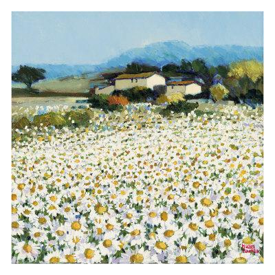 Foto Lámina giclée Farm Near Bini de Hazel Barker, 41x41 in. foto 631984