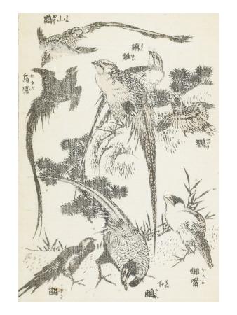 Foto Lámina giclée Manga, volume 3 : les lutteurs de Katsushika Hokusai, 61x46 in. foto 551955