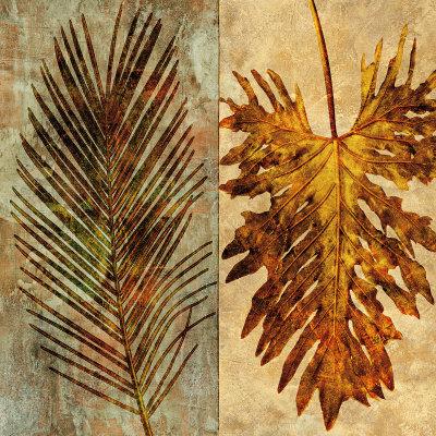 Foto Lámina Palms Pairs II de John Seba, 70x70 in. foto 659746