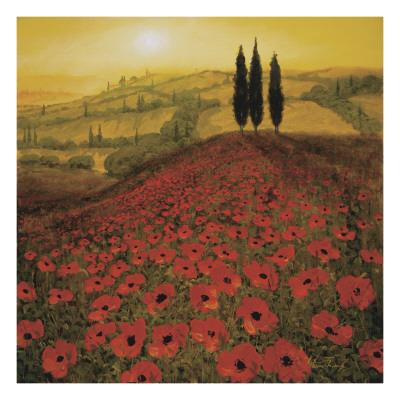 Foto Lámina Poppy Field de Steve Thoms, 66x66 in. foto 560297