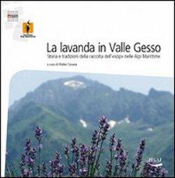 Foto La lavanda in Valle Gesso foto 593095