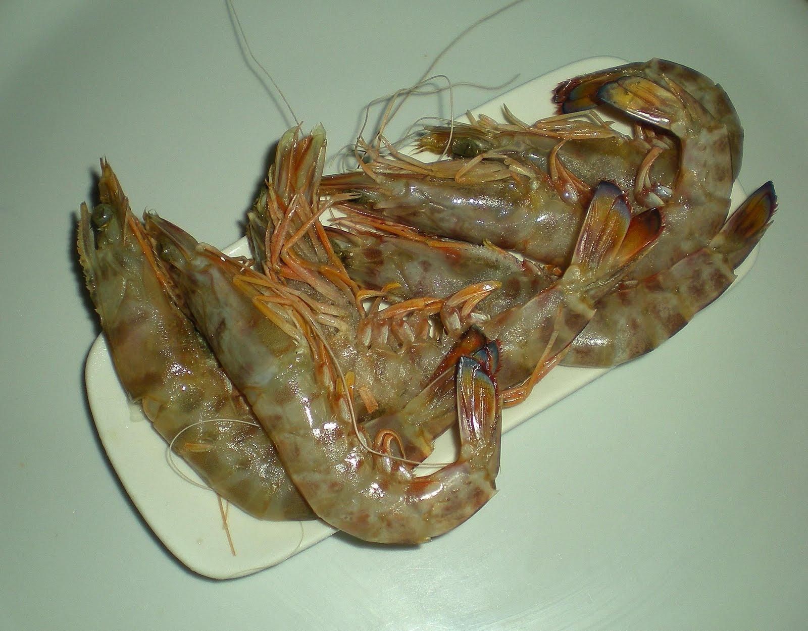 Foto Langostino Tigre