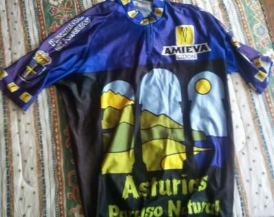 Foto Maillot Camiseta Asturias Paraiso Natural (real Oviedo Sporting Gijon Aviles) foto 868844
