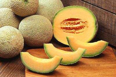 Foto Melon Cantaloupe Naranja Muy Dulce 1000 Semillas Seeds foto 625416