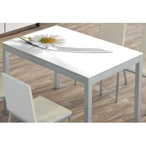 Foto Mesa de cocina tenedor flor 133