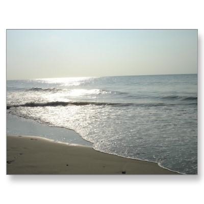 Foto Myrtle Beach, postal del SC. #11 foto 17299