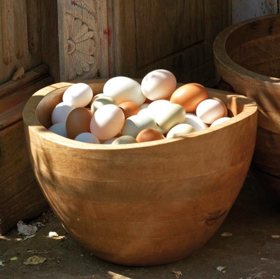 Foto Nkuku 'Sarisha' Mango Wood Bowl (Large)