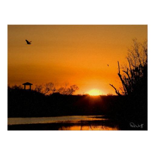 Foto Pájaros sobre el lago 40 acre - pintura de Impasto Posters foto 576391