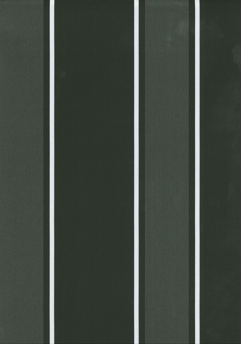 Foto Papel Pintado Versatile Classic Stripe Negro 426-1