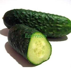 Foto Pepino ecológico 6 kg