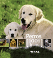 Foto Perros 1001 Fotos foto 420262