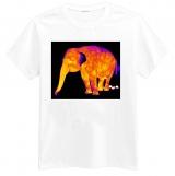 Foto Photo t-shirt of Elefante, thermogram