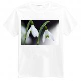 Foto Photo t-shirt of Galanthus (Galanthus nivalis)