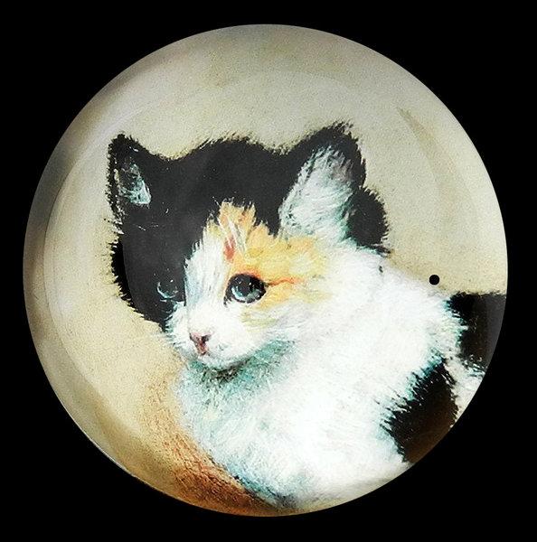 Foto Pisapapeles de cristal fino en una caja de regalo - Ronner Knip Kitten
