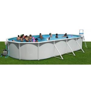 Foto Piscina ovalada 730 x 366 cm. toi