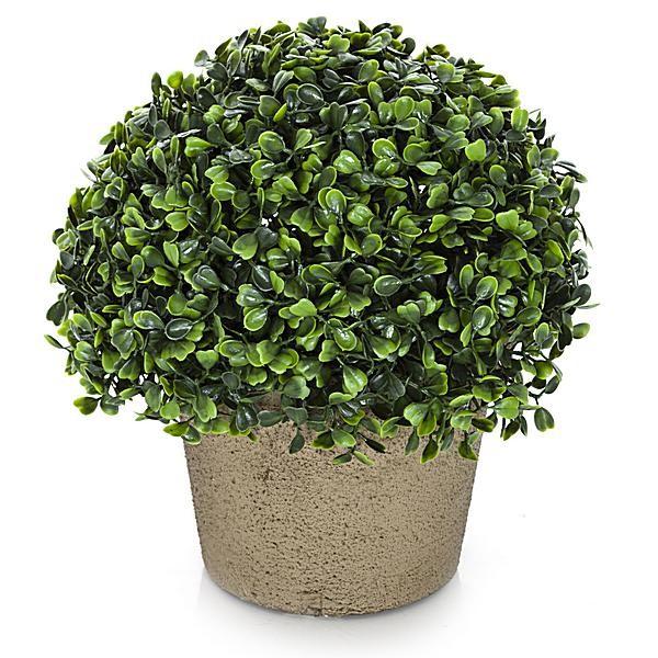 Foto Planta bola boj artificial maceta pequeña