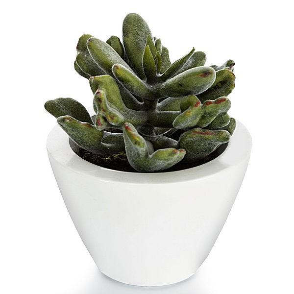 Foto Planta cactus artificial vellut maceta 14 foto 622554