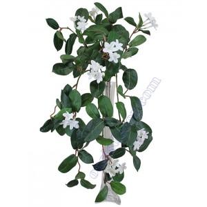 Foto Planta colgante jazmin artificial pequeña