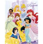 Foto Poster Princesas Disney foto 760000