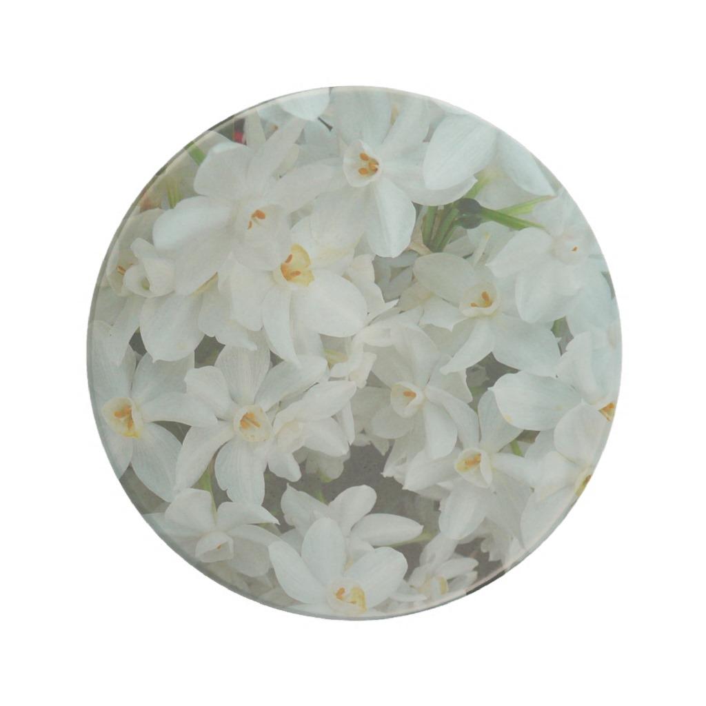 Foto Práctico de costa del narciso de Paperwhite Posavasos Diseño foto 744357