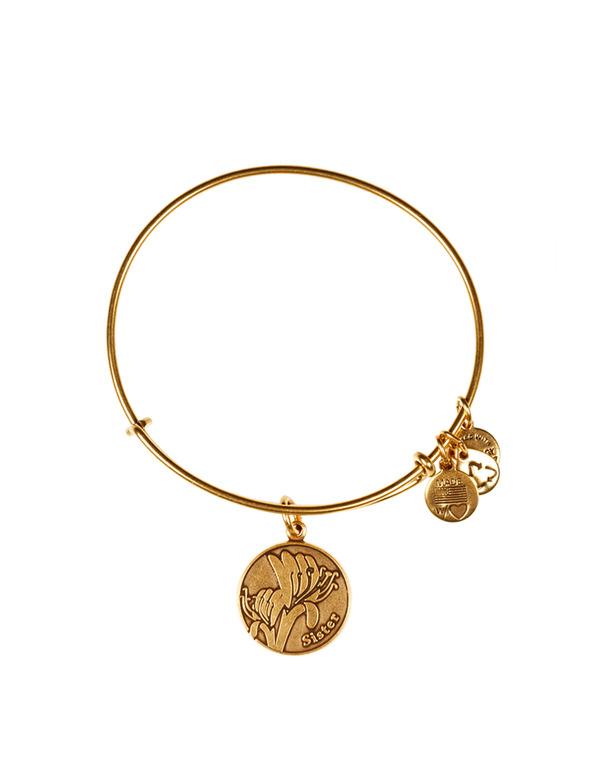 Foto Pulsera Hermana Alex and Ani