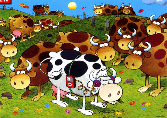 Foto Puzzle Heye De 1000 Piezas Icow