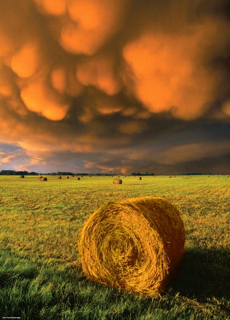 Foto Puzzle Heye De 1000 Piezas Tormenta Creciente foto 697911