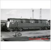 Foto Railway photo br class 43 d846 steadfast old oak common depot warship loco mpd foto 892160