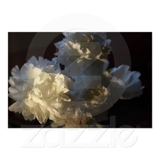 Foto Ramo de Peonies blancos Impresiones foto 616808