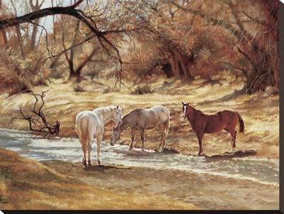 Foto Reproducción en lienzo de la lámina Riachuelo de Kirkland de Rogue Simpson, 61x81 in. foto 819871