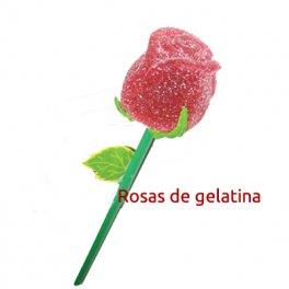Foto Rosa de gelatina foto 958570