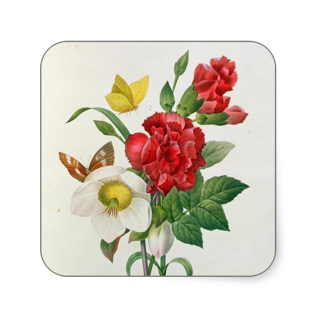 Foto Rosa de navidad, Helleborus Niger Calcomanías Cuadradass foto 888185