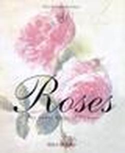 Foto Roses foto 740755